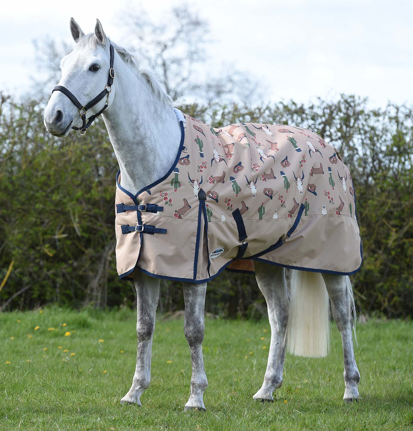 WeatherBeeta ComFITec Essential Standard Neck Medium Weight Horse Blanket, Sante Fe Sands - Buy Pet Shop