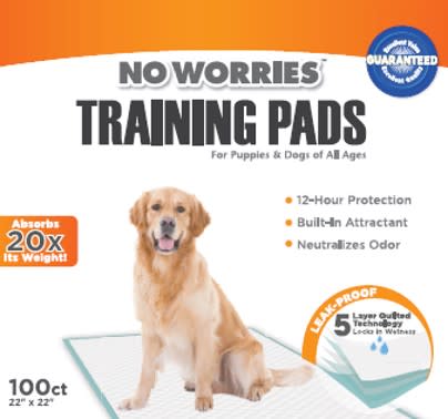 No Worries 12-Hour Dog Training Pads, 100 ct, 22