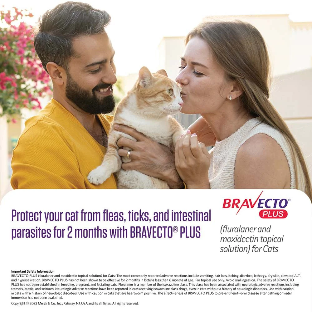 Rx BRAVECTO Plus Topical, Cat - Buy Pet Shop