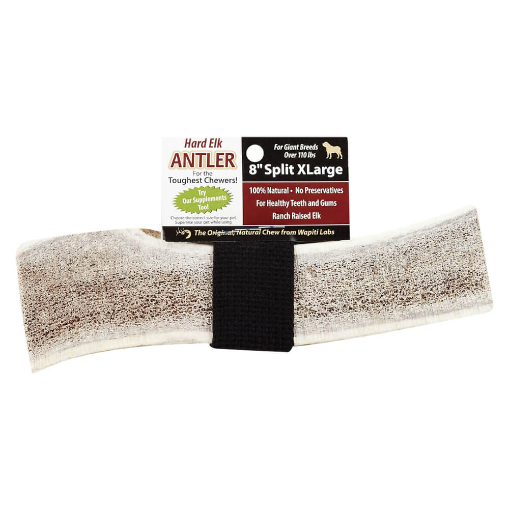 Wapiti Labs Elk Antler Dog Chews, 8