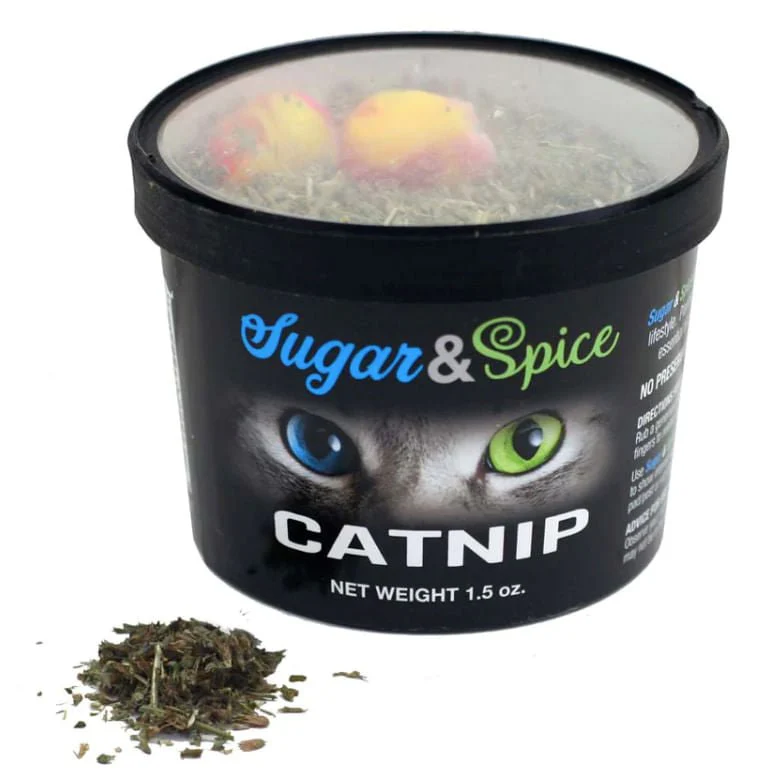 Chewmax Sugar & Spice Catnip - Buy Pet Shop