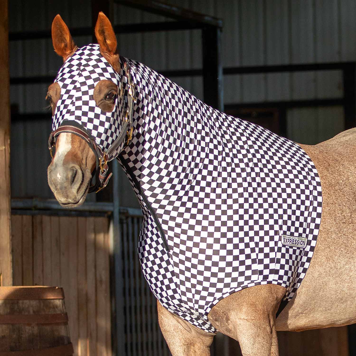 Expression Lycra Hood, Skater Cowgirl - Buy Pet Shop