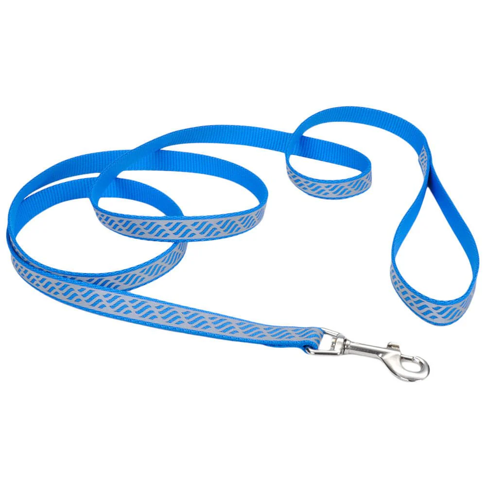 Coastal Pet Lazer Brite Dog Leash, 6' x 1