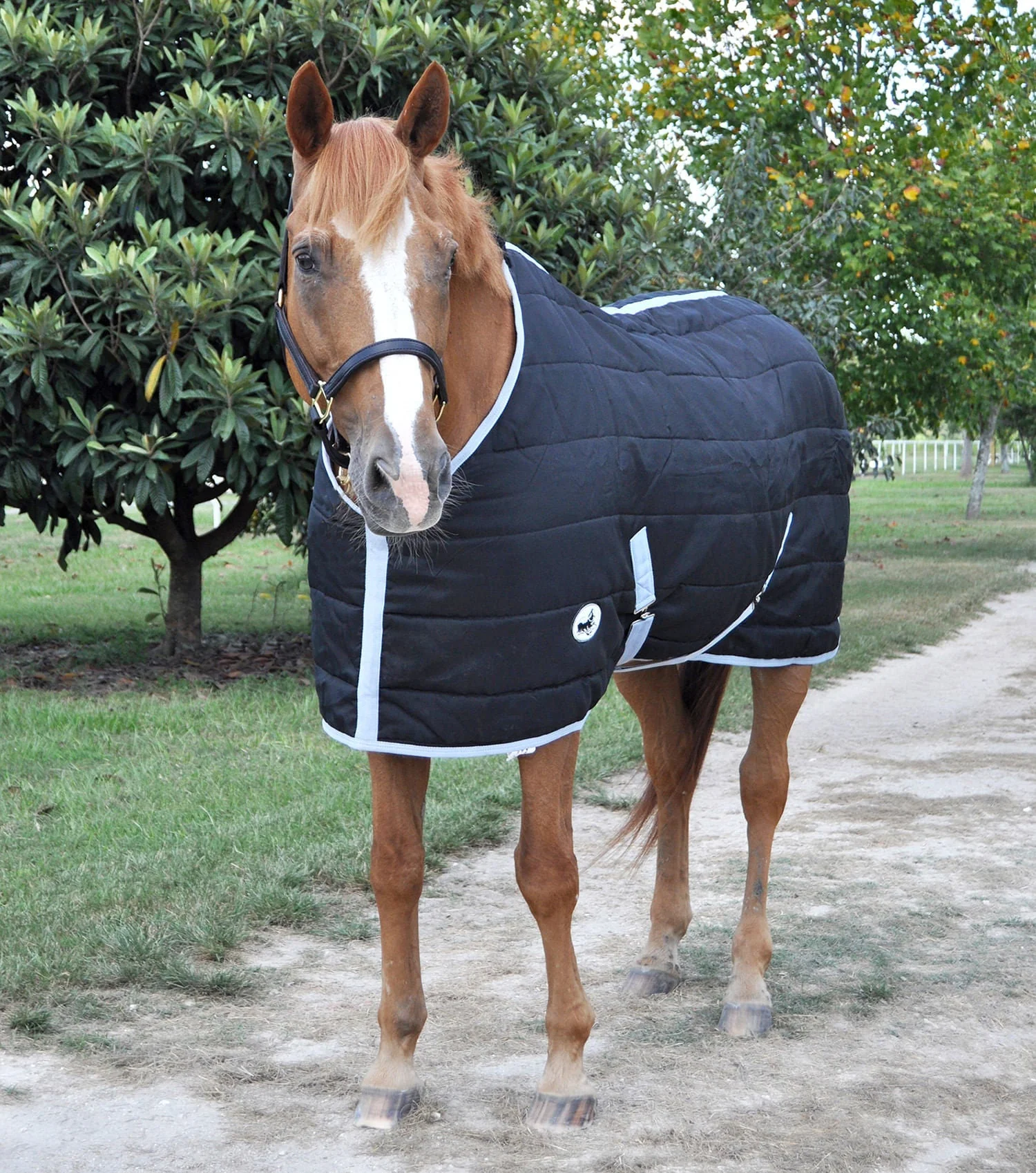 Closed Front 240g Fill Stable Blanket for Horses - Buy Pet Shop