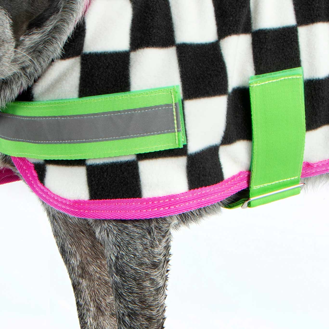 Expression Fleece Dog Coat, Skater Pup - Buy Pet Shop