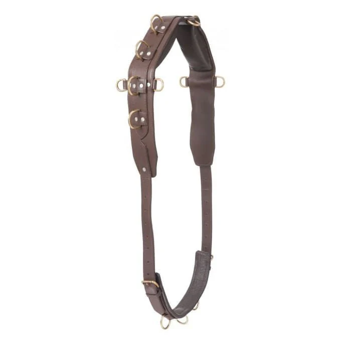 Professional Heavy Leather Surcingle - Buy Pet Shop
