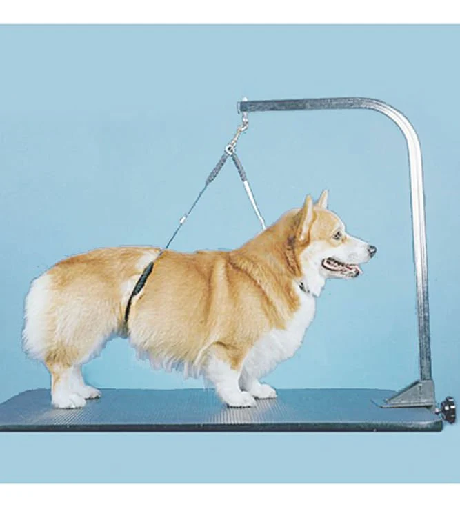 Proguard No-Sit Haunch Holder - Buy Pet Shop