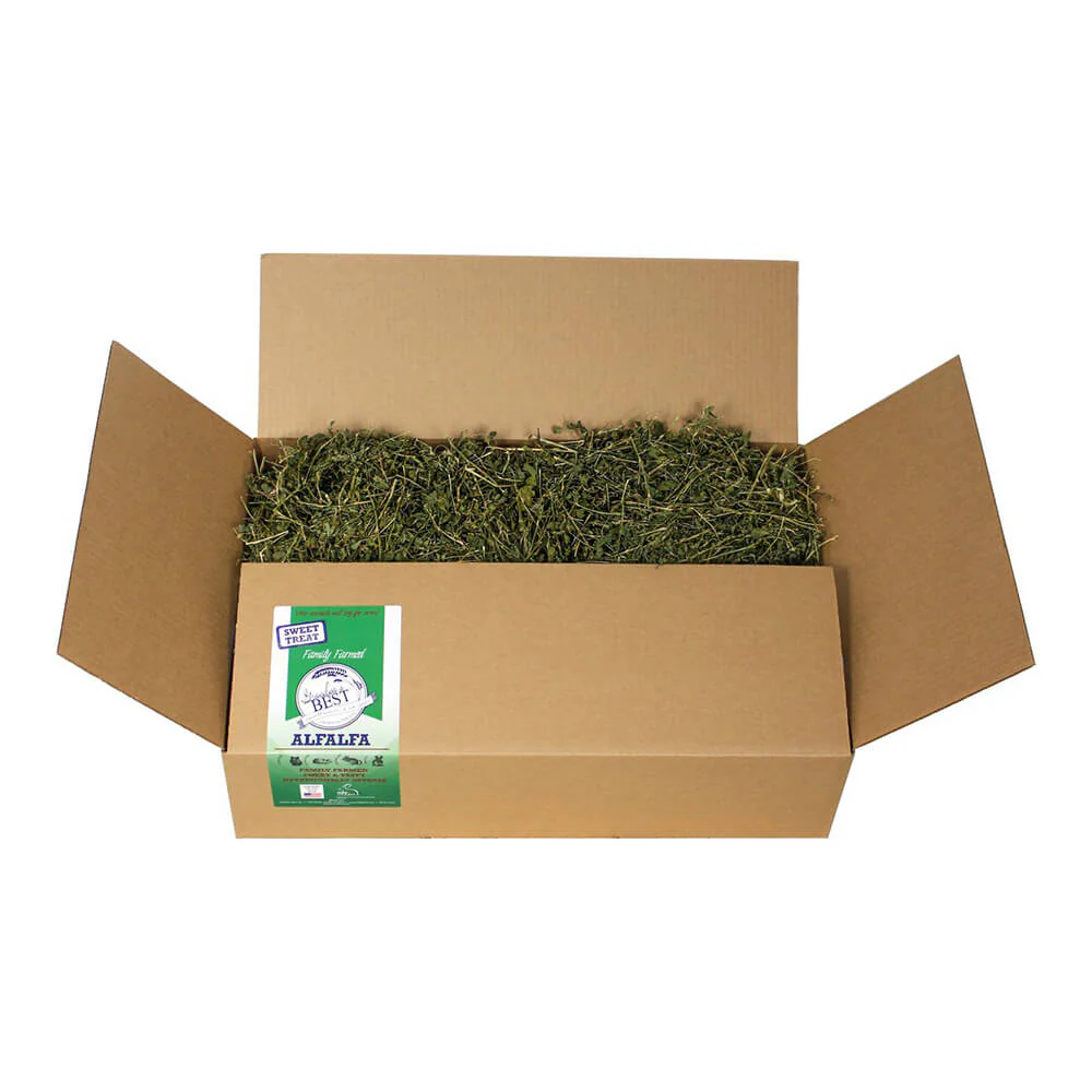 Grandpa's Best Alfalfa Loose Boxed Hay - Buy Pet Shop