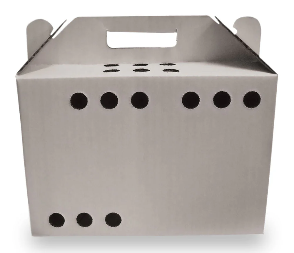 Oasis Disposable Pet Carrier, 12 Count - Buy Pet Shop