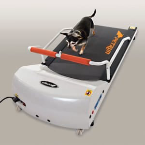 PetRun Toy Breed Treadmill (PR700) - Buy Pet Shop