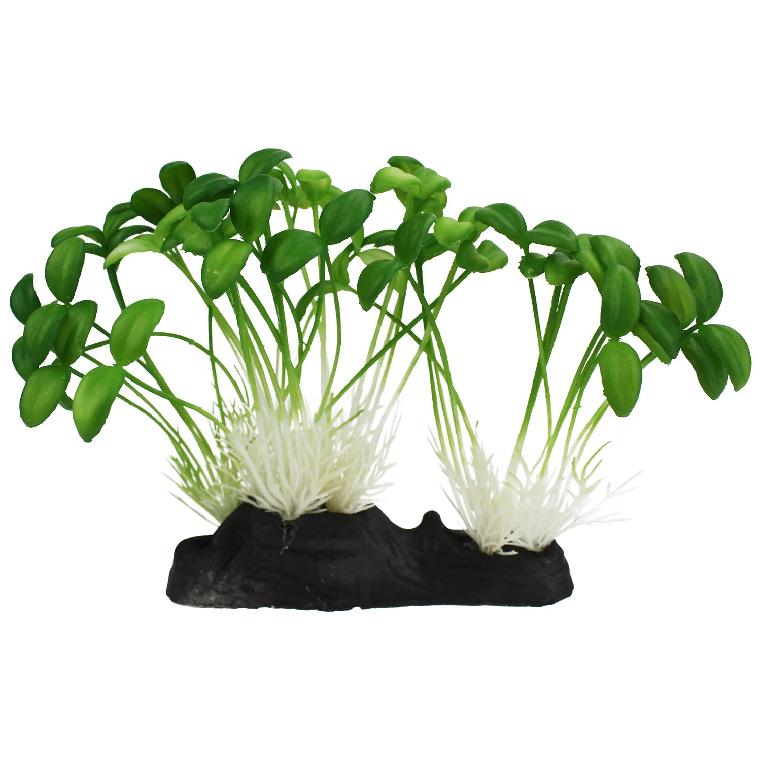 Komodo Sprouts - Buy Pet Shop