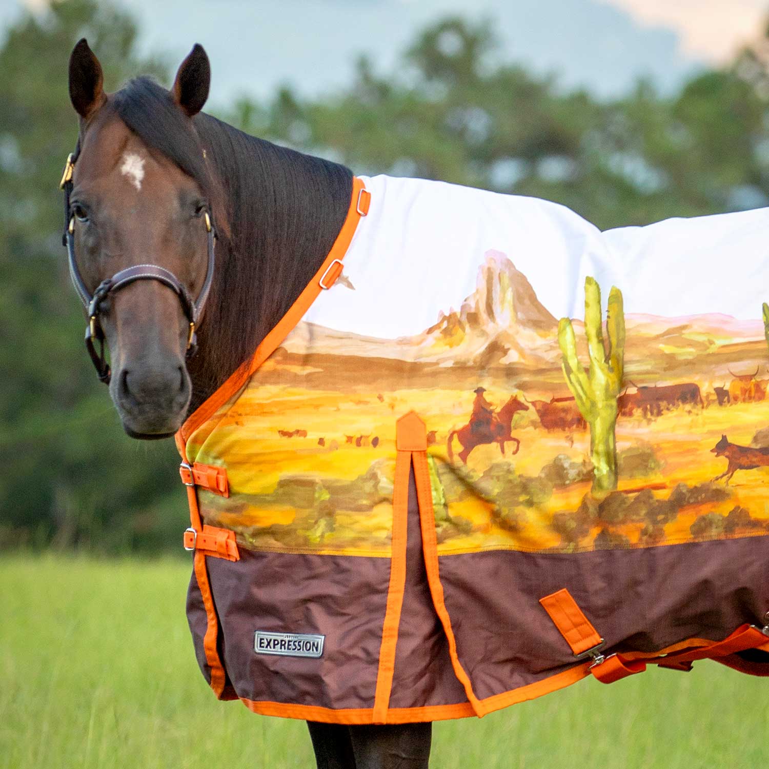 Expression 1200 Denier Standard Neck Turnout Blanket, 240 Gram, Cattle Drive - Buy Pet Shop