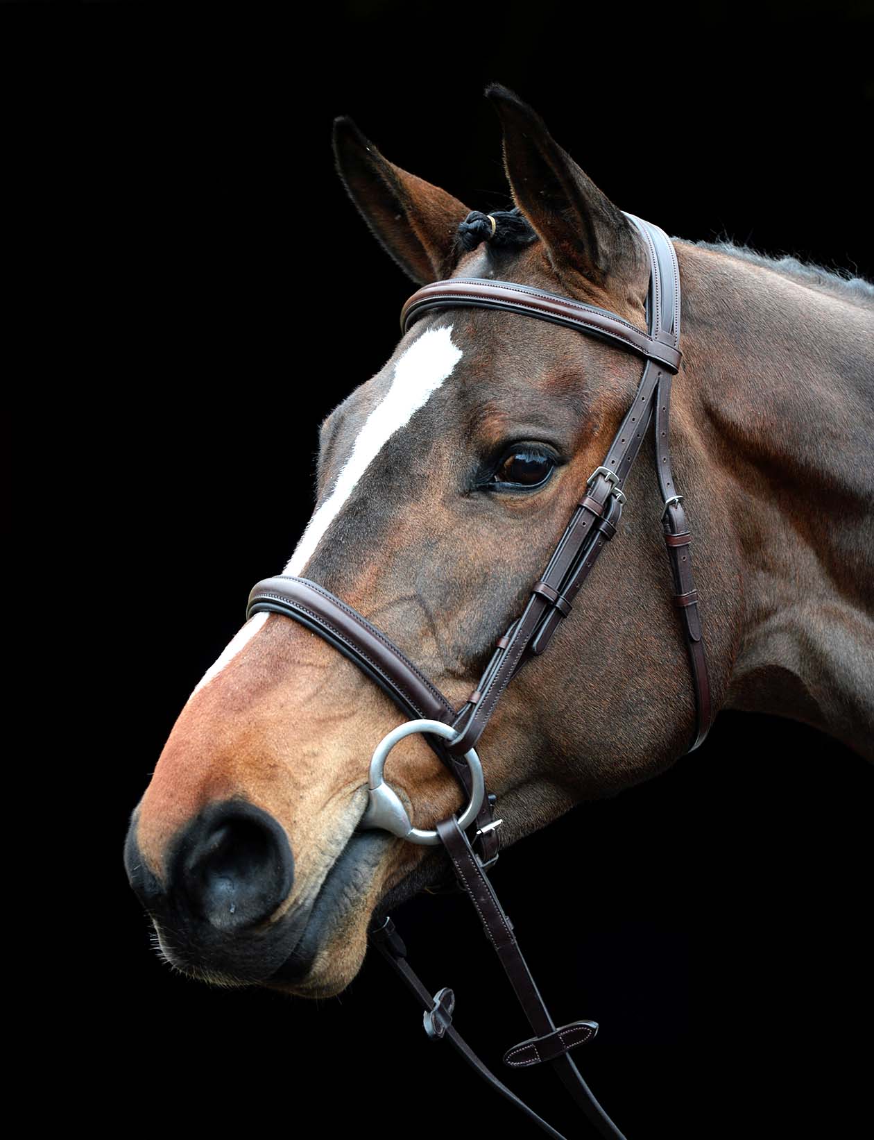 Collegiate Comfort Crown Padded Raised Cavesson Bridle - Buy Pet Shop