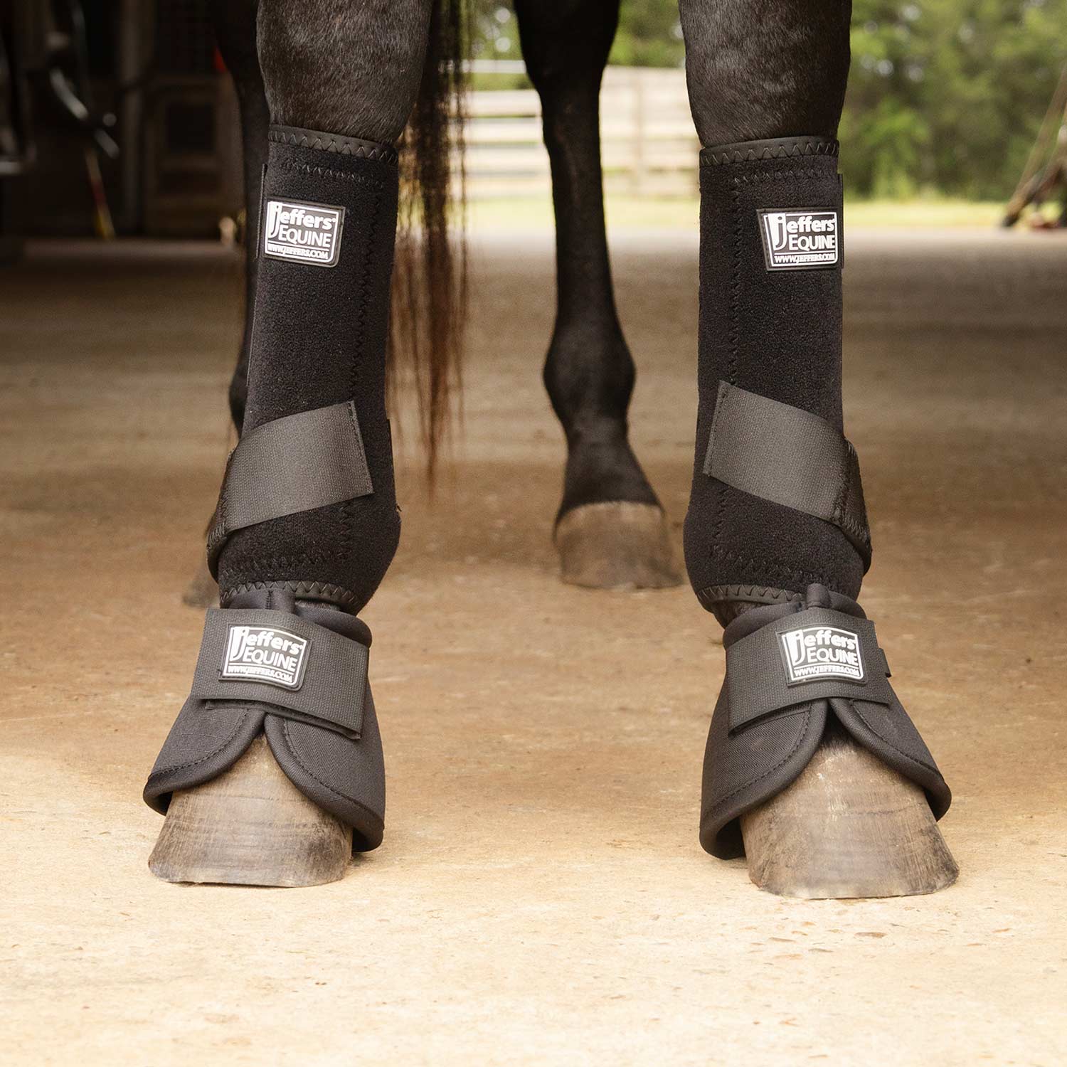 Protective Horse Boots - Buy Pet Shop