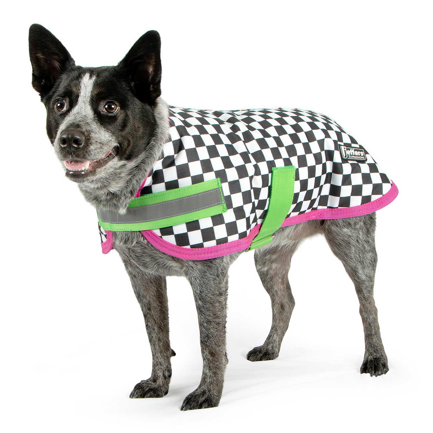 Expression Waterproof Ripstop Dog Coat, Skater Pup - Buy Pet Shop