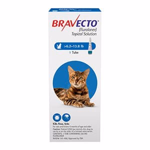 Rx BRAVECTO Topical, Feline - Buy Pet Shop
