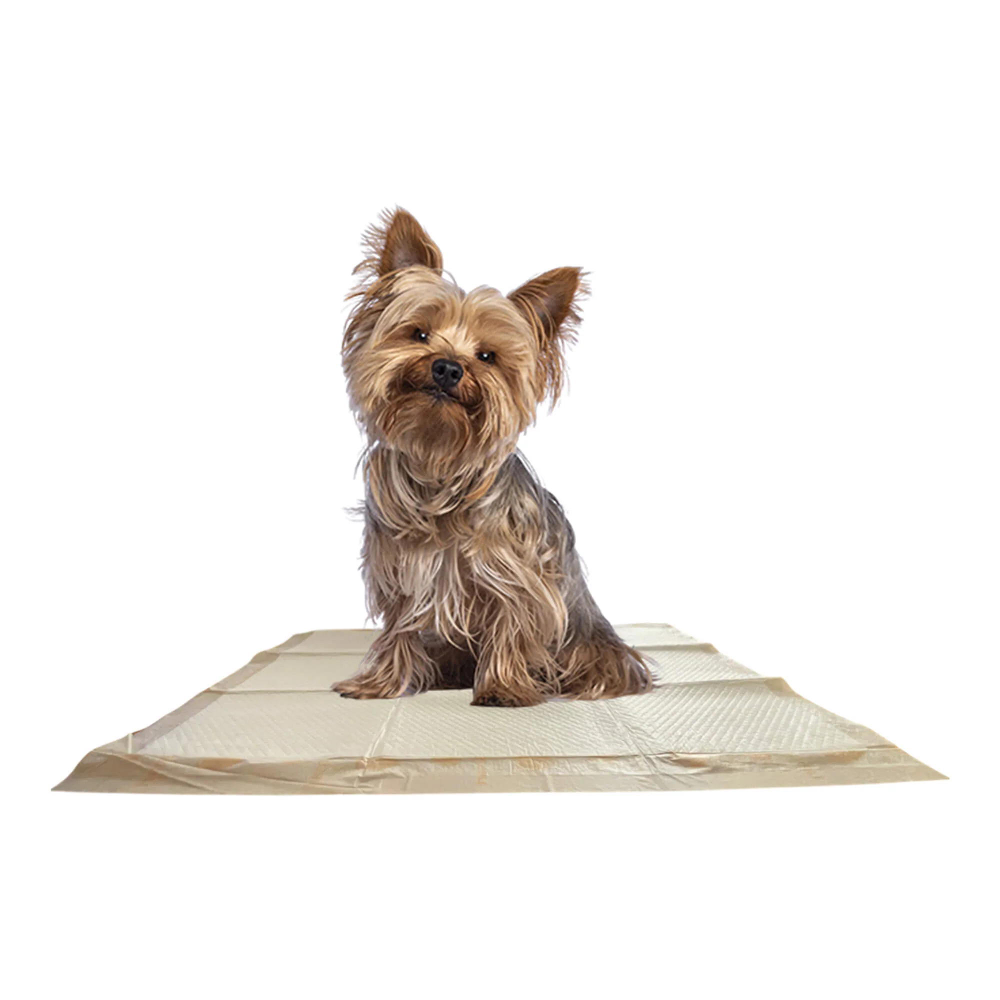 WizSmart Essentials Pads, Large - Buy Pet Shop