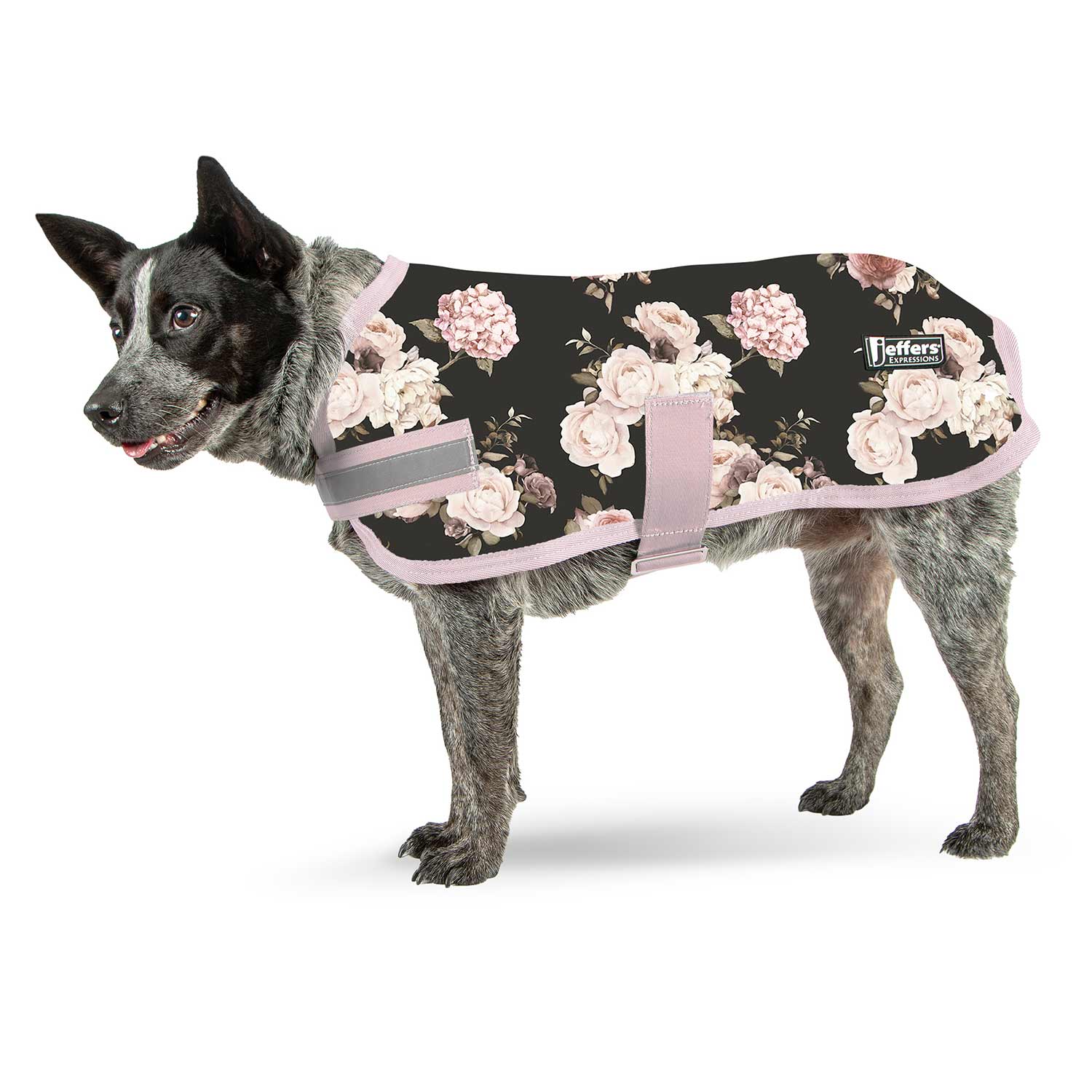 Expression Waterproof Ripstop Dog Coat, Rose Garden - Buy Pet Shop