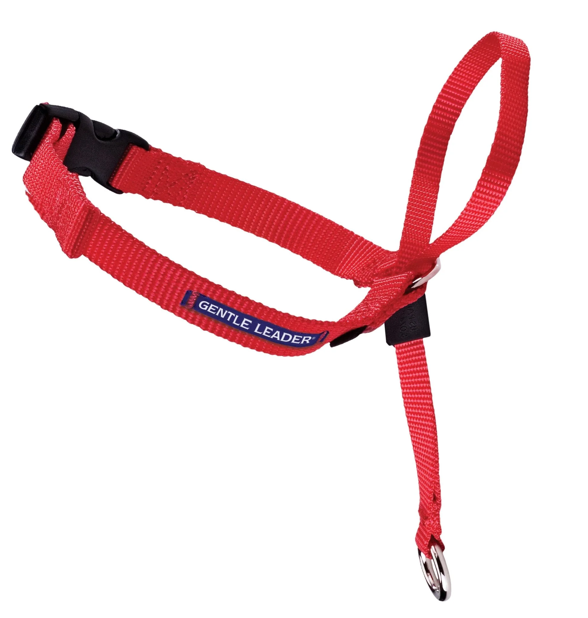 Gentle Leader Headcollar, large (over 60 lb) - Buy Pet Shop