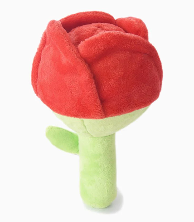 HugSmart Superball Rose Dog Toy - Buy Pet Shop