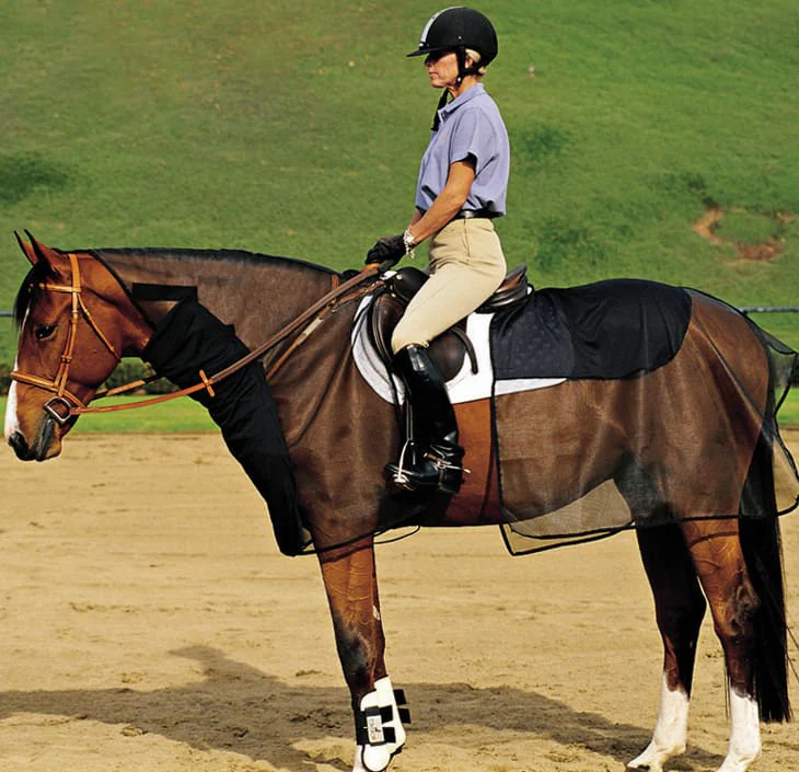 Quiet-Ride Bug Armor - Buy Pet Shop