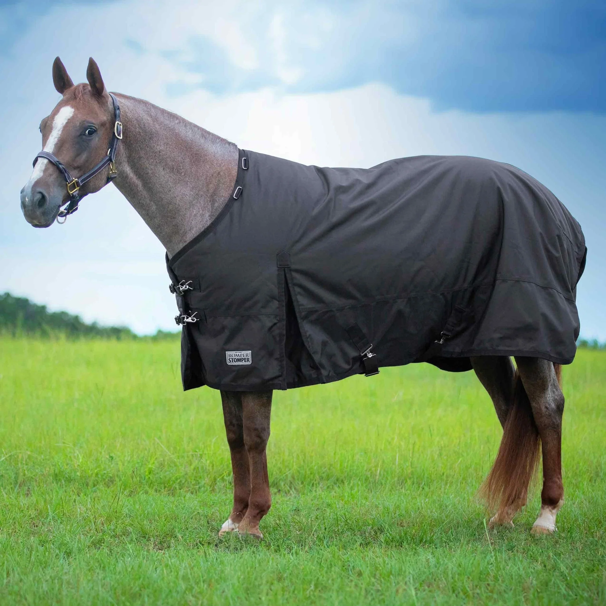 Romper Stomper Light Weight Horse Turnout Blanket,  1680D, 180g Fill, Brown - Buy Pet Shop
