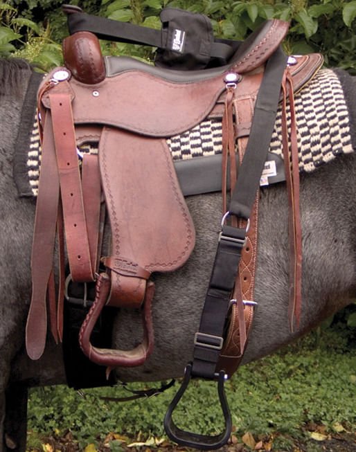 Step-Up Stirrup (ea) - Buy Pet Shop