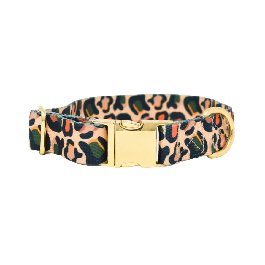 Pink Papyrus Beckett Collar, Leopard - Buy Pet Shop