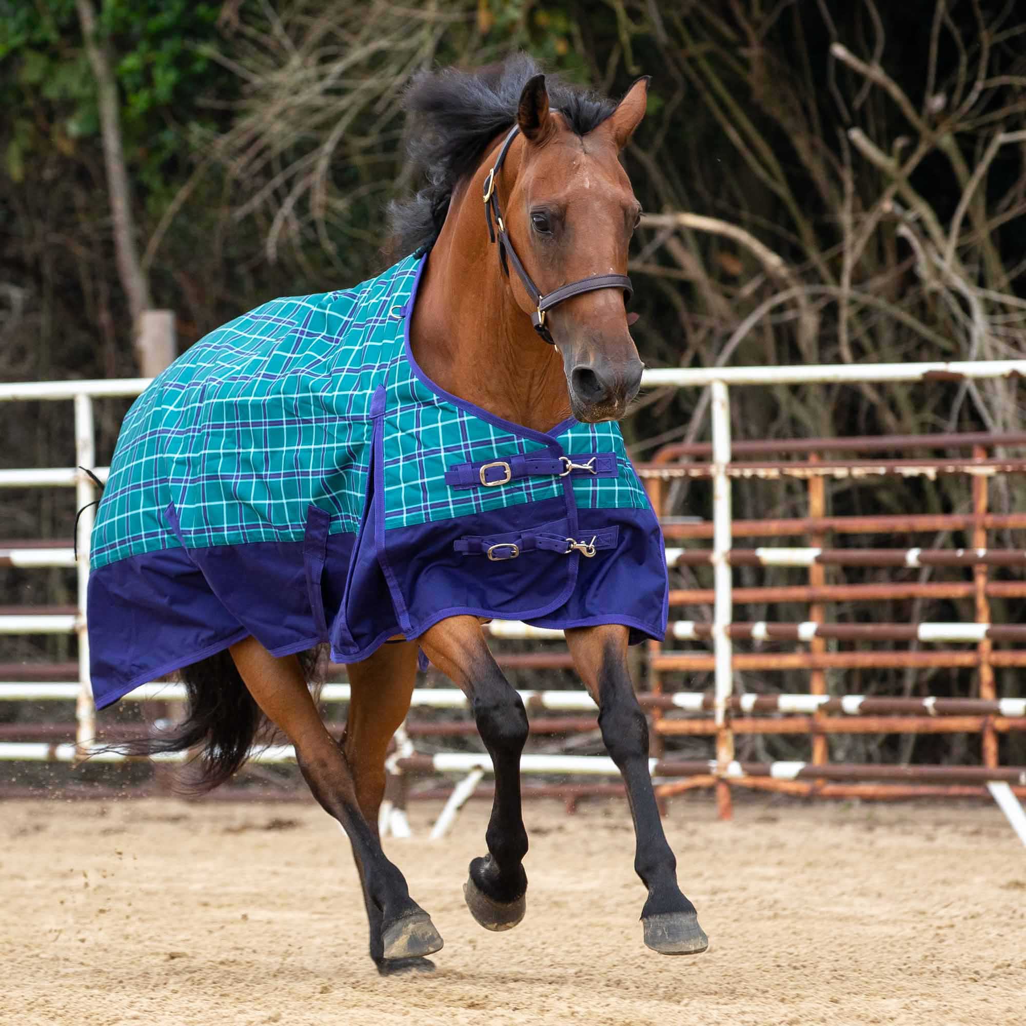 Economy Plaid Medium-Weight Horse Turnout Blanket - Buy Pet Shop