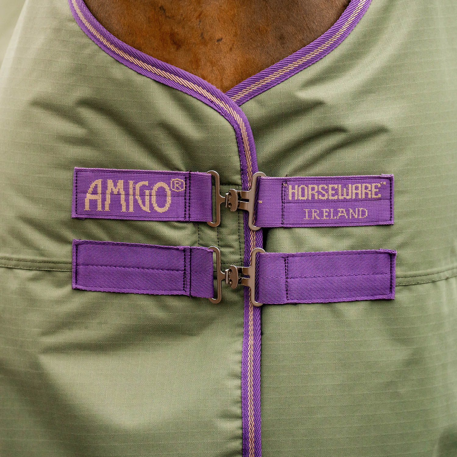 Amigo Hero Ripstop Turnout Sheet, Bramble/Winterberry - Buy Pet Shop