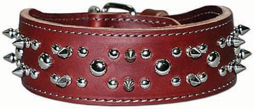 Latigo Spike & Stud Collar, 21