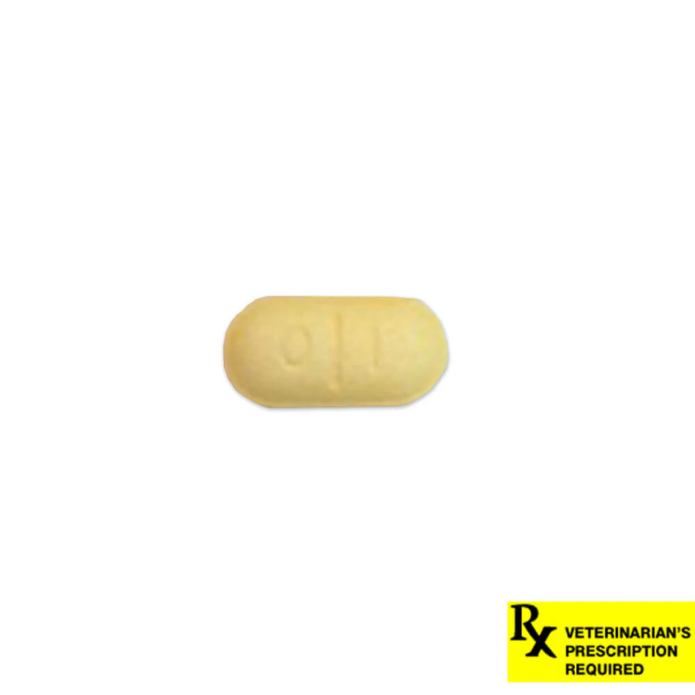 Rx Thyro-Tabs (levothyroxine sodium tablets) Tablets for Dogs - Buy Pet Shop