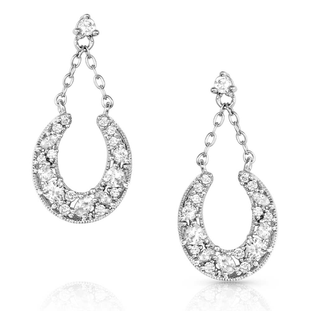 Intentional Luck Crystal Drop Earrings - Buy Pet Shop