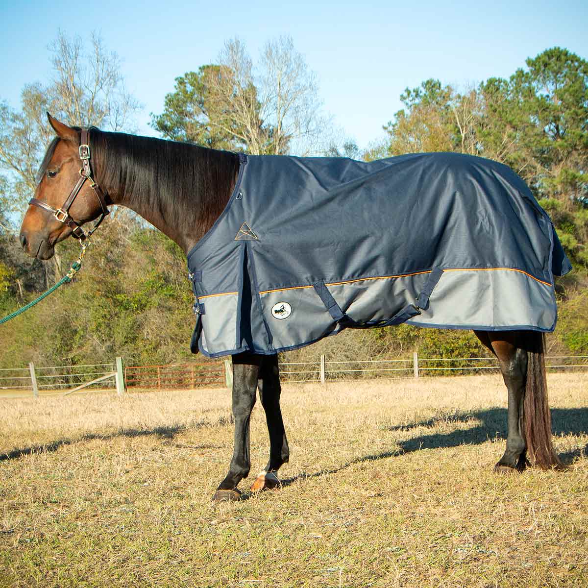 Economy Plus 1200 Denier Turnout Blanket with Standard Neck, 240 Gram, Navy & Gray - Buy Pet Shop