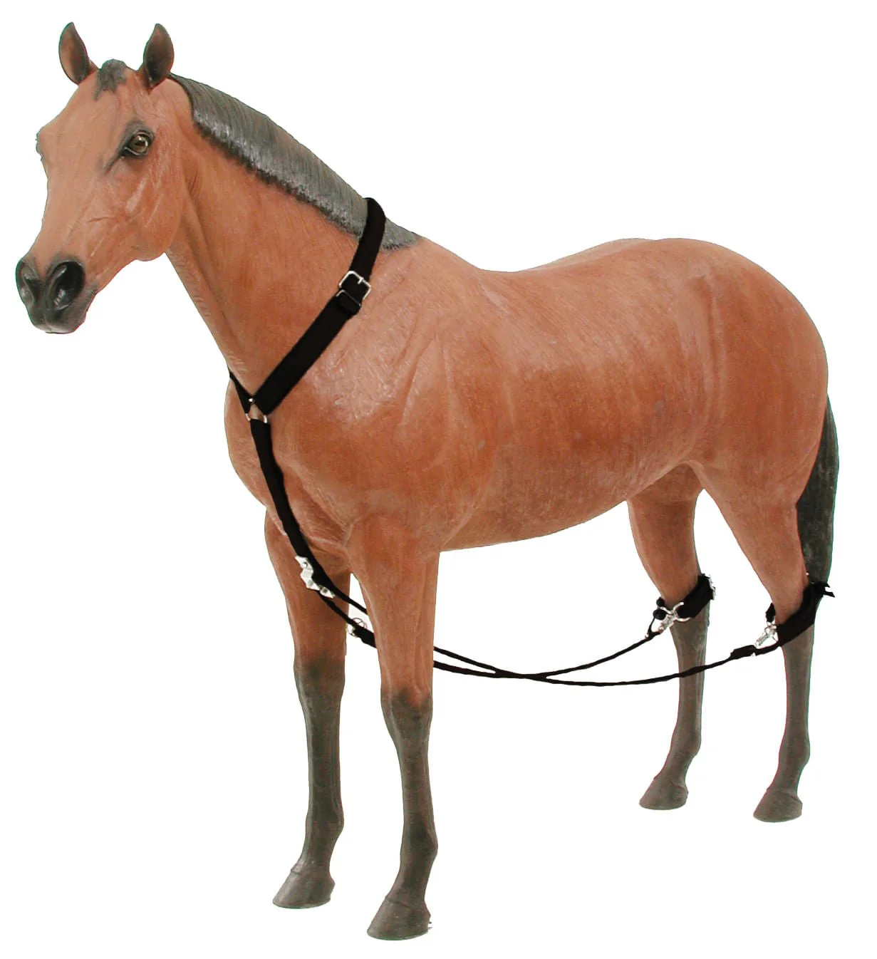 Nylon Breeding Hobbles - Buy Pet Shop