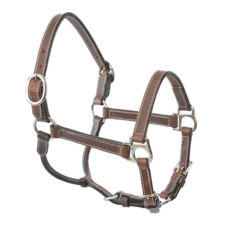Pony Leather Halter - Buy Pet Shop