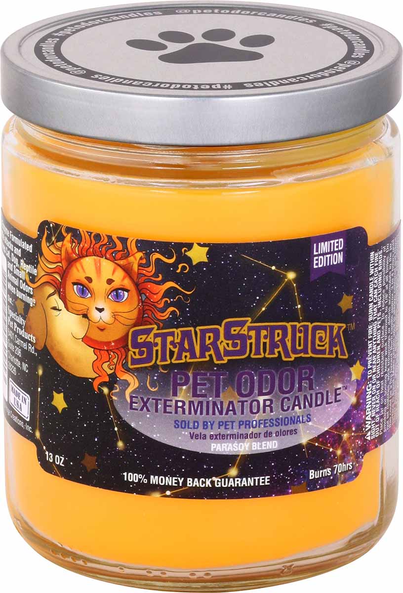 Pet Odor Exterminator Candle, StarStruck, 13 oz - Buy Pet Shop