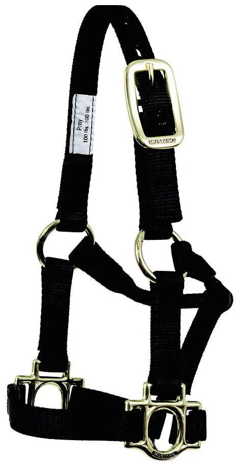 Traditional Nylon Pony Halter - Buy Pet Shop