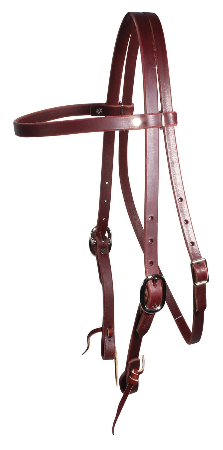 Professional's Choice Trainers Browband Headstall, Burgundy - Buy Pet Shop