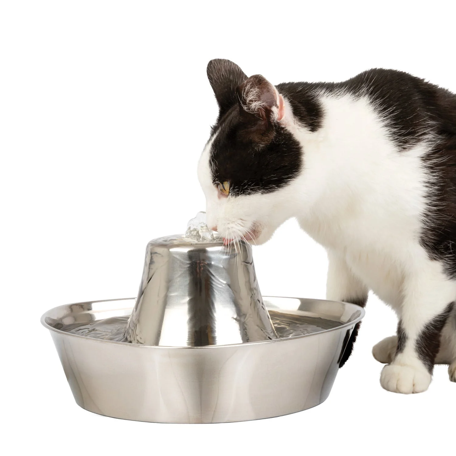 PetSafe Seaside Stainless Pet Fountain - Buy Pet Shop