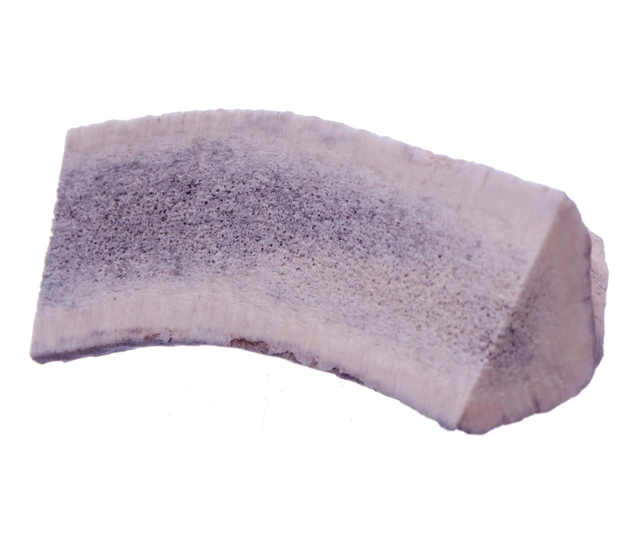 Split Antlerz (The Trew) - Buy Pet Shop