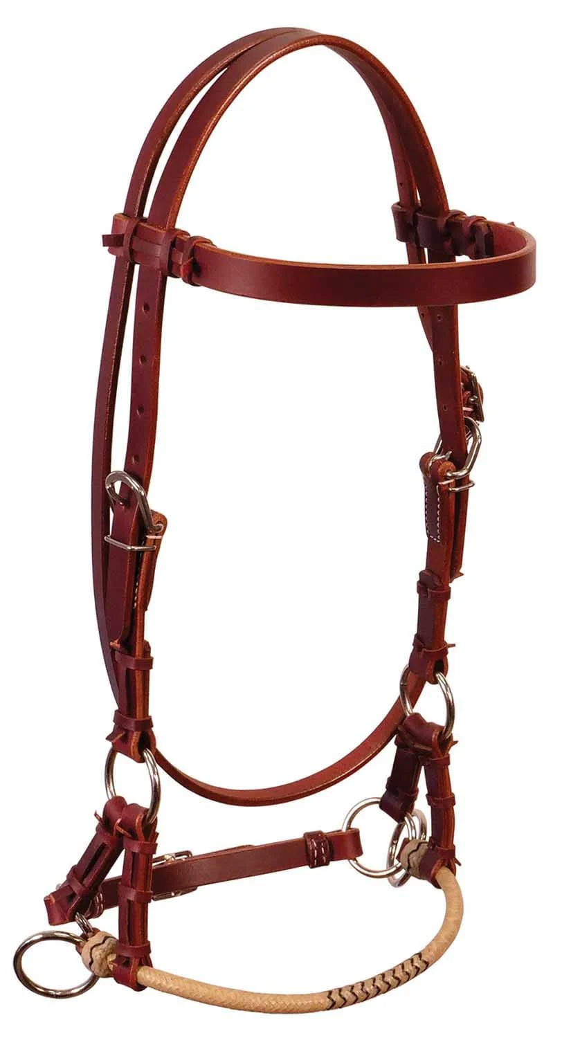 Buffalo Leather Fully Adjustable Rawhide Side Pull Headstall - Buy Pet Shop