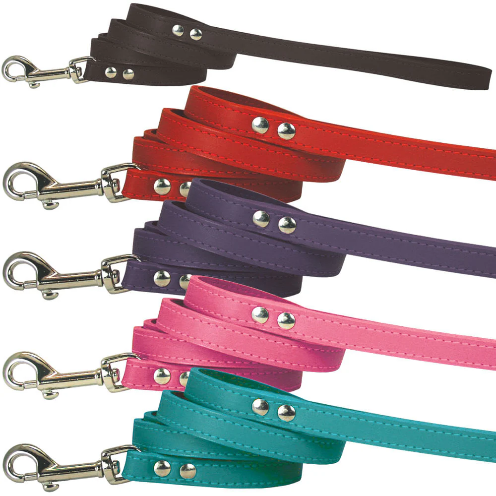 Spike & Stud Leash, Red, 3/4