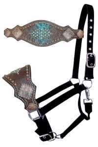 Showman Gator Bronc Halter, Turquoise/Brown - Buy Pet Shop