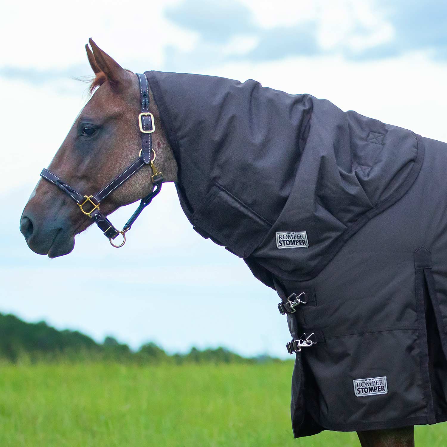 Romper Stomper Neck Rug for Horses, 1680D, 240g Fill, Brown - Buy Pet Shop