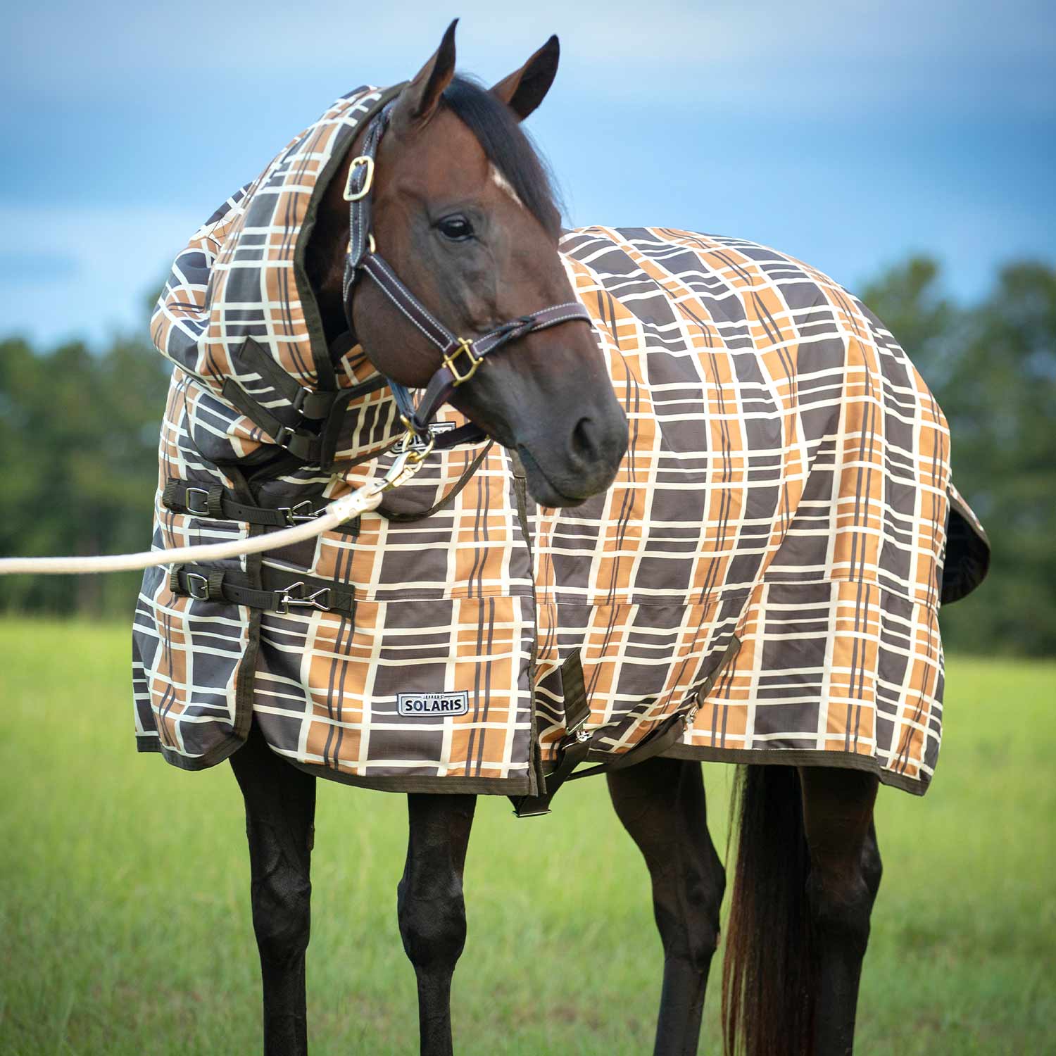 Solaris Horse Turnout Blanket with Neck Rug, 1200D, Medium Weight 240g Fill, Brown & Cream Plaid - Buy Pet Shop