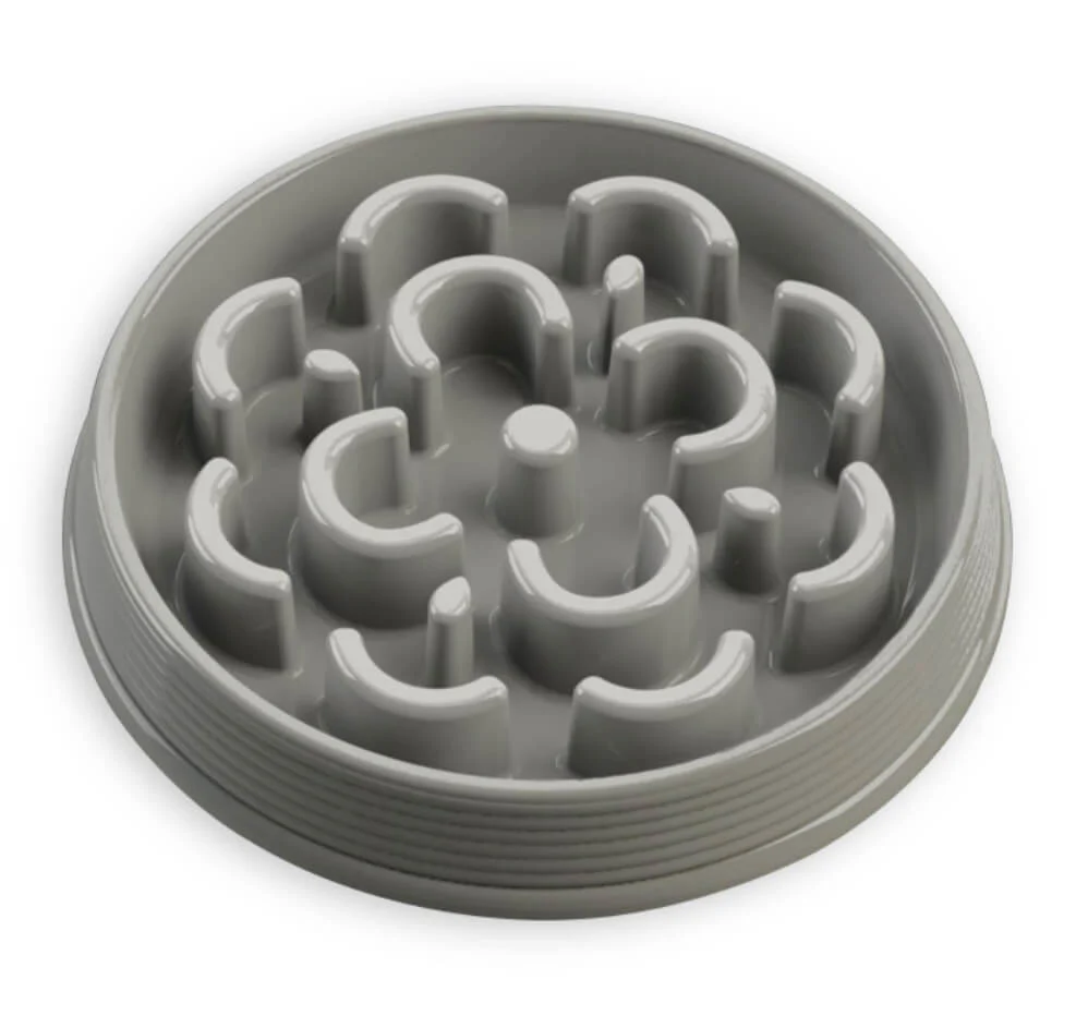 Slow Chow Feeder, Medium, 3 Cup - Buy Pet Shop