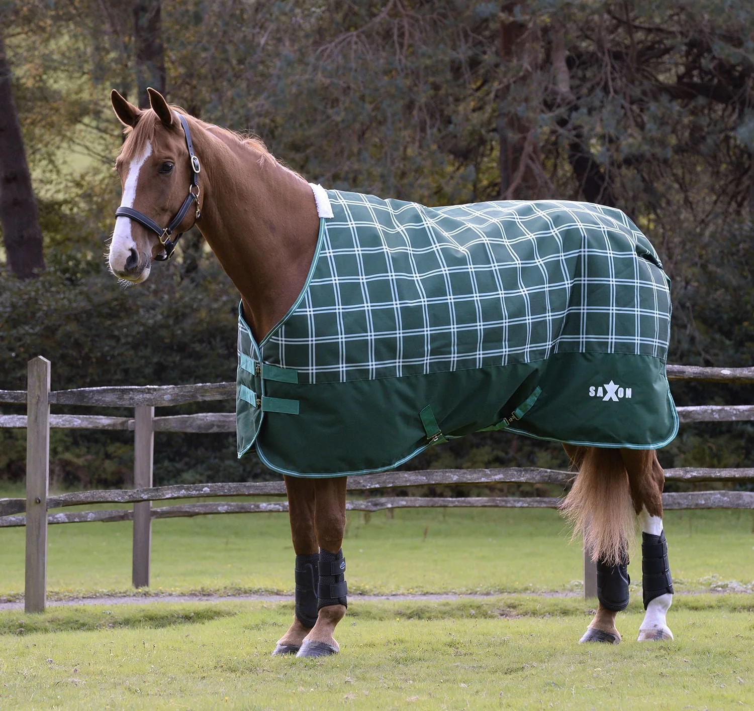 Saxon Defiant 1200D Standard Neck Horse Turnout, Medium, Hunter Green Plaid - Buy Pet Shop