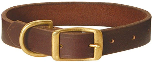 Flat Leather Dog Collar with Brass Hardware - Buy Pet Shop