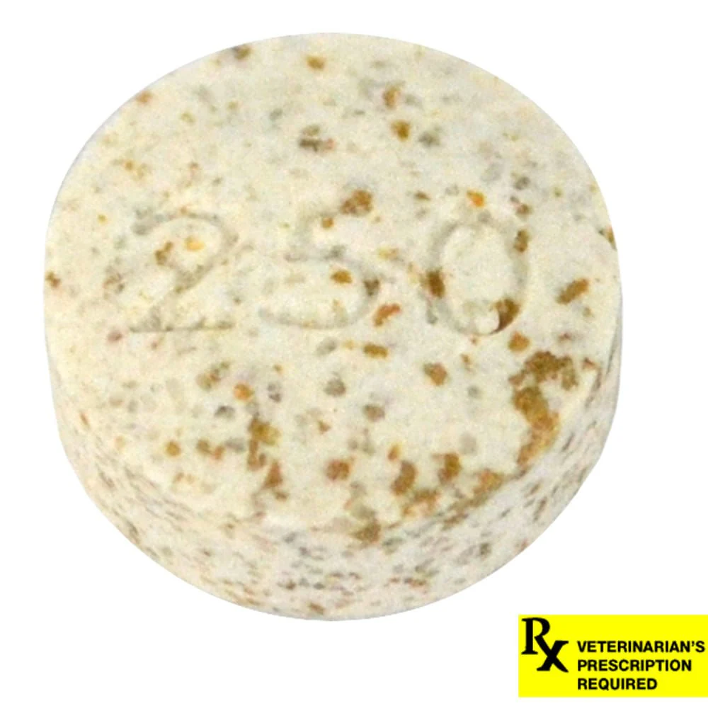 Rx K-BroVet (potassium bromide) Chewable Tablet for Dogs, Single Tab - Buy Pet Shop